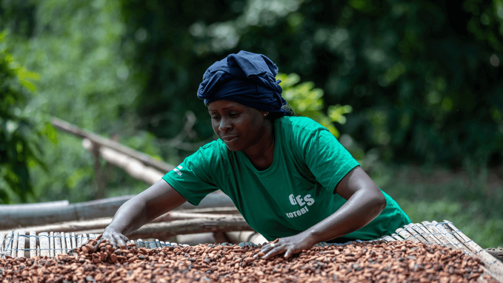 Fairtrade Fortnight aims to shine a light on inequality in the cocoa industry