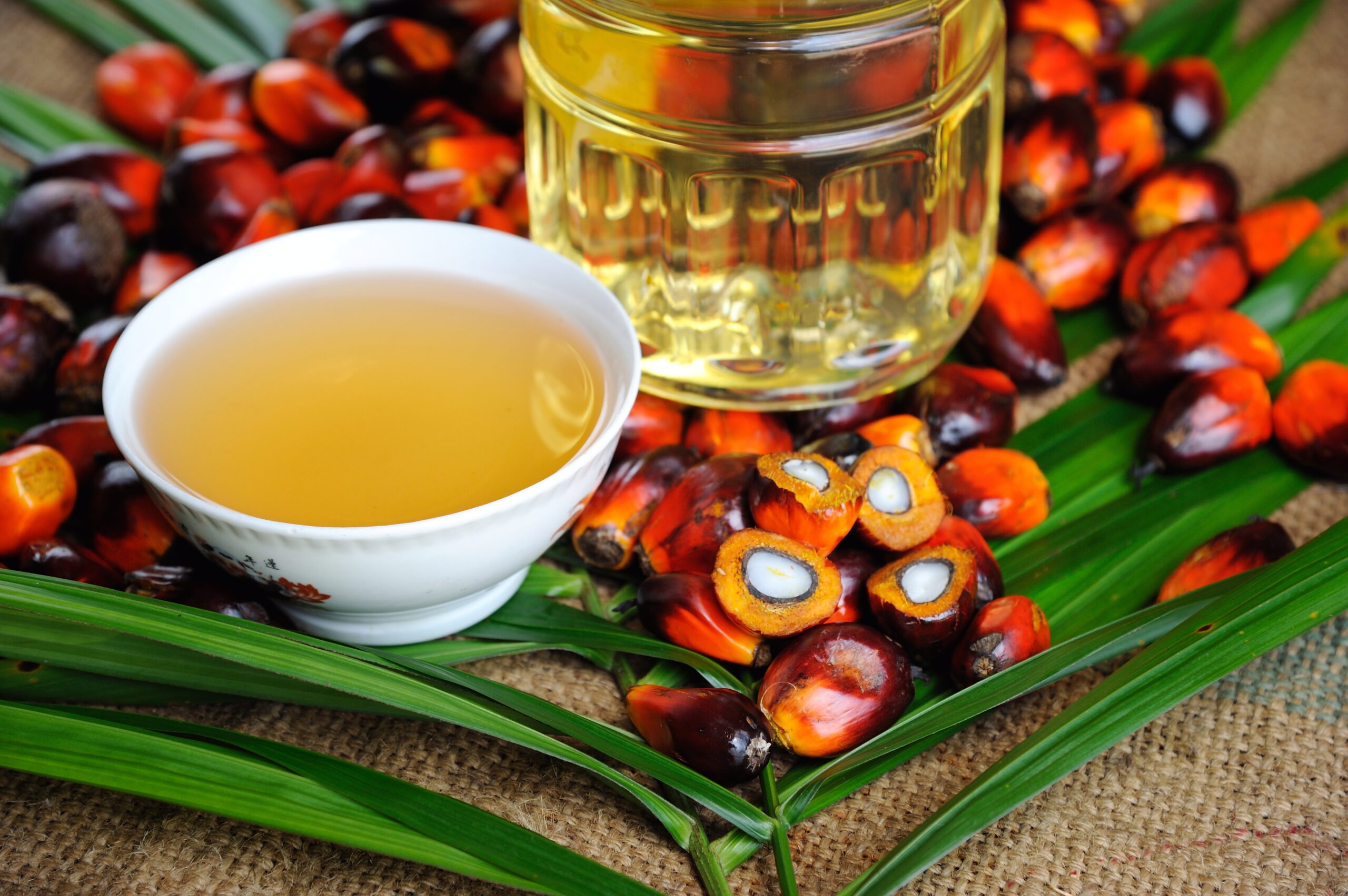 How blockchain can ensure sustainable practices in the palm oil industry