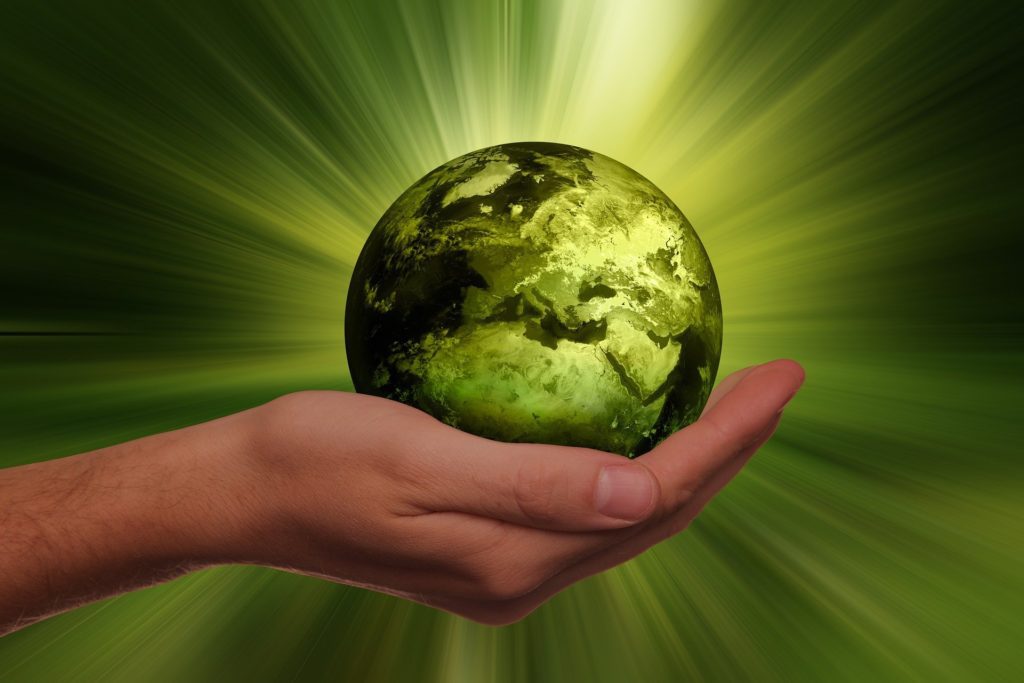 ADM launches new policy to protect forests, biodiversity and communities