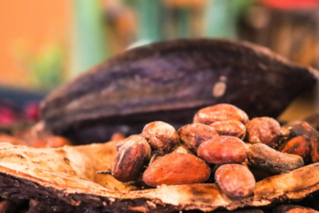 Cocoa ghana