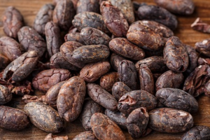 cacaobeans