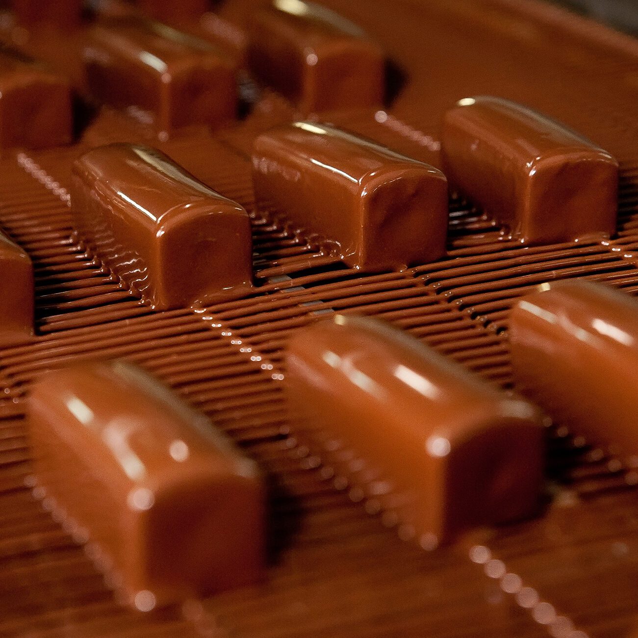ILLEXAO™ EN 10 SG - International Confectionery