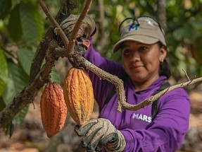 Mars Cocoa