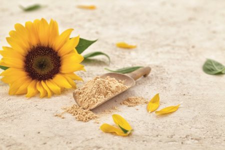 Sternchemie sunflower lecithin granted GRAS no-objection letter