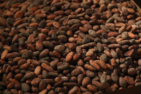 Lindt & Sprüngli achieves 100% traceable cocoa beans